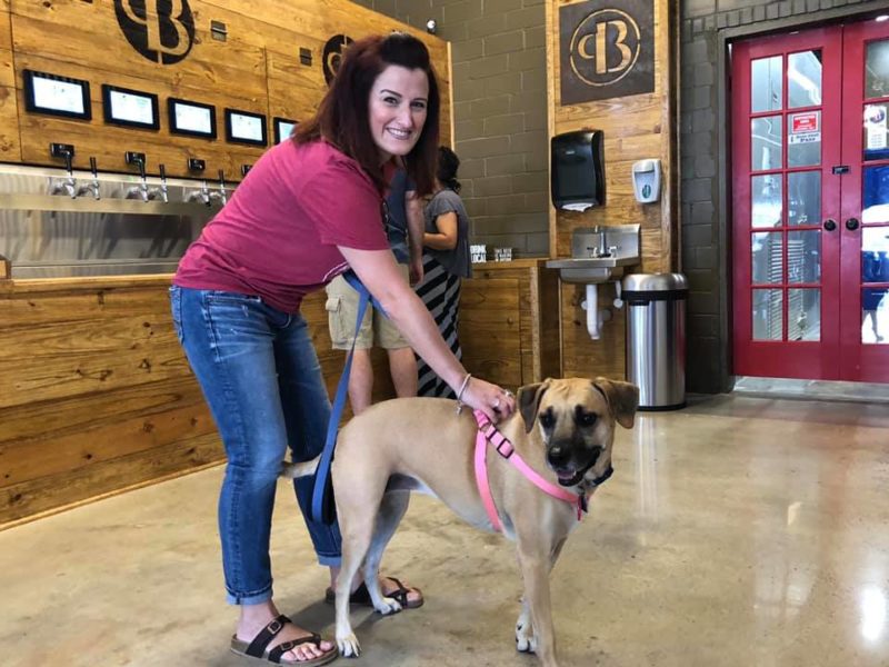 Pour Brothers Brewery dog friendly
