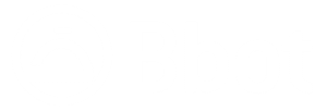 Bbot logo with transparent background